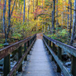 A Simple Three Day Itinerary for Townsend and the Smokies