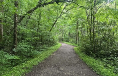 How To Visit Townsend With Kids Without Overplanning