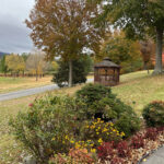 What To Expect When You Visit Townsend Tennessee