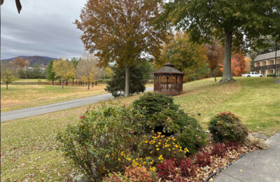 What To Expect When You Visit Townsend Tennessee